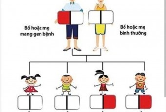 CÁC  HOẠT ĐỘNG TRUYỀN THÔNG HƯỞNG ỨNG NGÀY TAN MÁU BẨM SINH (8/5/2024)