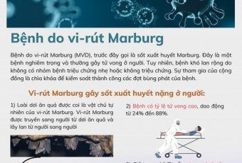 BỆNH MÁC - BỚC (MARBURG)
