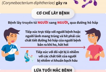 [Infographic] Bệnh bạch hầu và những điều cần biết