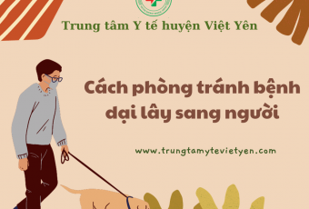 Cách phòng tránh bệnh dại từ động vật lây sang người
