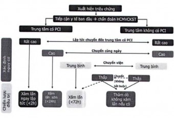 QĐ 2187/QĐ-BYT ngày 03/6/2019 của Bộ Y tế - Ban hành Hướng dẫn chẩn đoán và xử trí Hội chứng mạch vành cấp