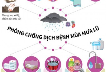 Cách phòng chống dịch bệnh mùa mưa bão