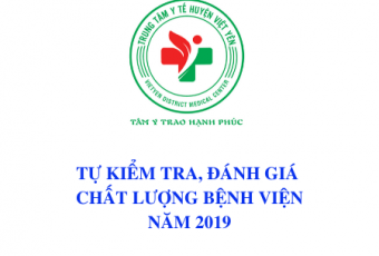 Kết quả tự kiểm tra, đánh giá năm 2019