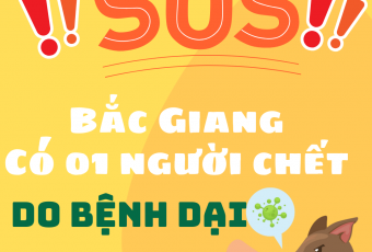 Tăng cường công tác phòng chống bệnh dại