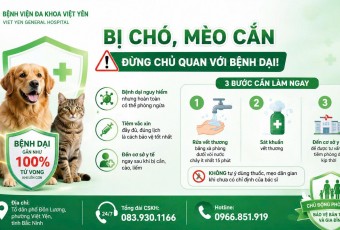BỆNH VIỆN ĐA KHOA VIỆT YÊN TĂNG CƯỜNG PHÁT HIỆN SỚM, TƯ VẤN VÀ PHÒNG CHỐNG BỆNH DẠI