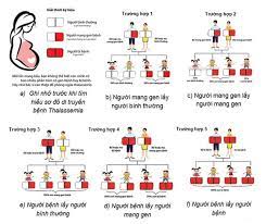 Kết quả nghiệm thu đề tài NCKH